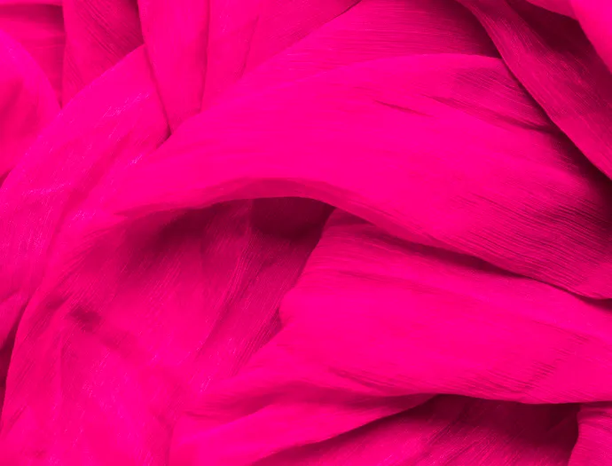 Small Fuchsia Small Fuchsia