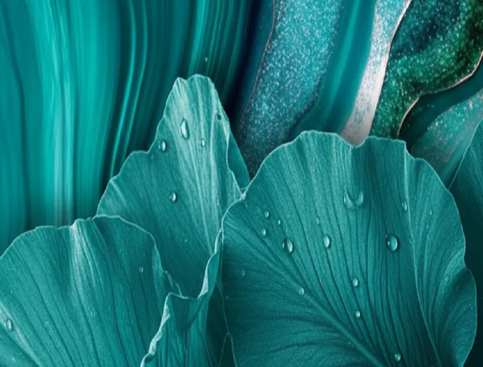 Teal, small Teal, small
